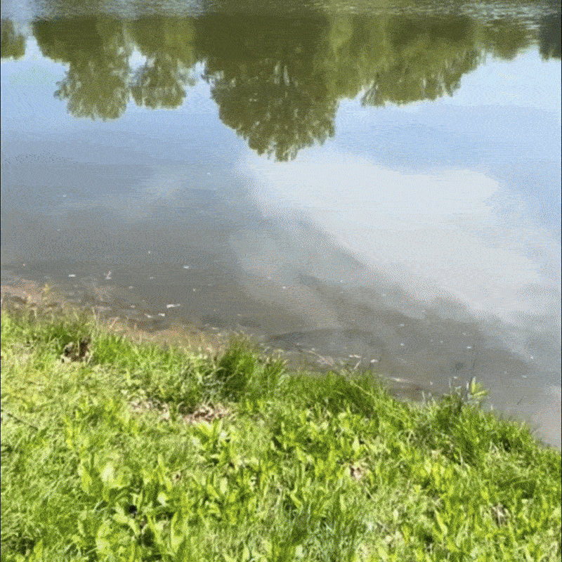 AquaLens™ - Lunettes polarisées premium pour pêcheurs